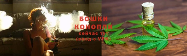 соль ск Надым