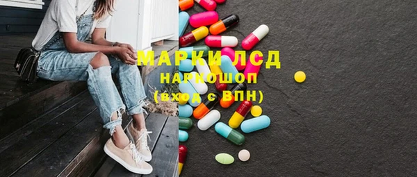 соль ск Надым
